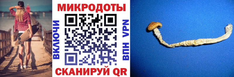 дарнет шоп  Белореченск  Галлюциногенные грибы Psilocybe 